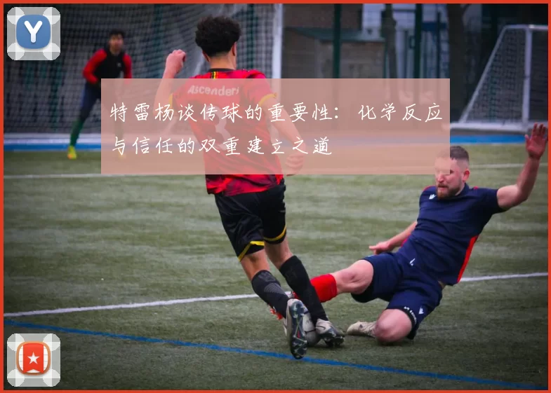 特雷杨谈传球的重要性：化学反应与信任的双重建立之道